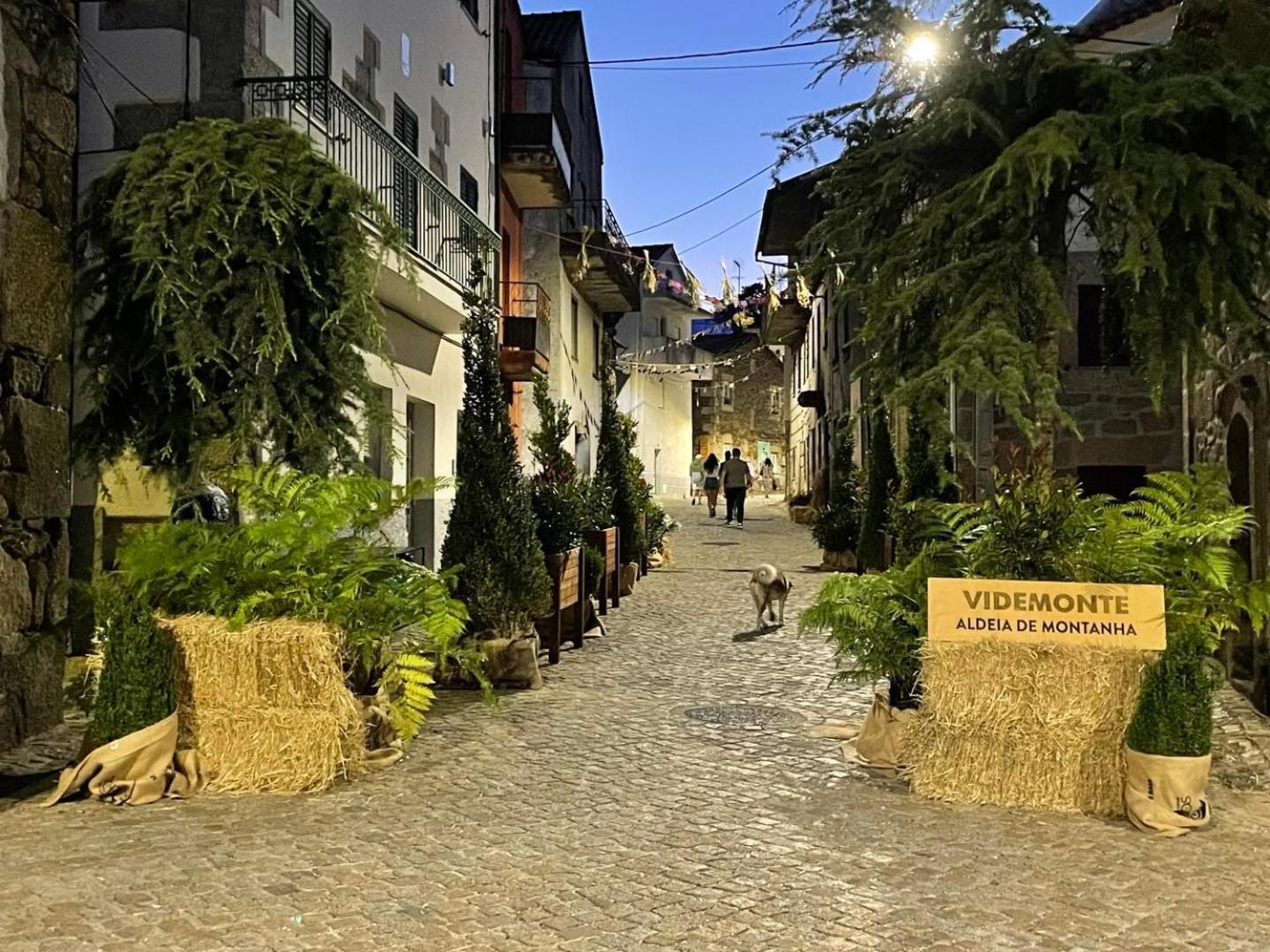 Casa De Xisto Ti Lucilia Villa Videmonte Dış mekan fotoğraf
